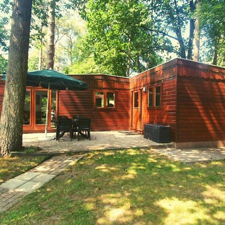Chalet L2 Dennenrhode Doornspijk 외부 사진