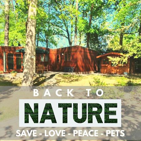 Chalet L2 Dennenrhode Doornspijk 외부 사진