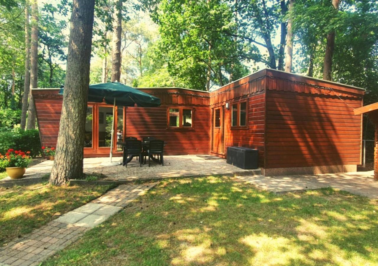 Chalet L2 Dennenrhode Doornspijk 외부 사진